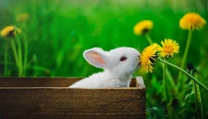 爱游戏全站注册-青训成功经验在多地推广，地方青训体系不断优化升级，青训训练